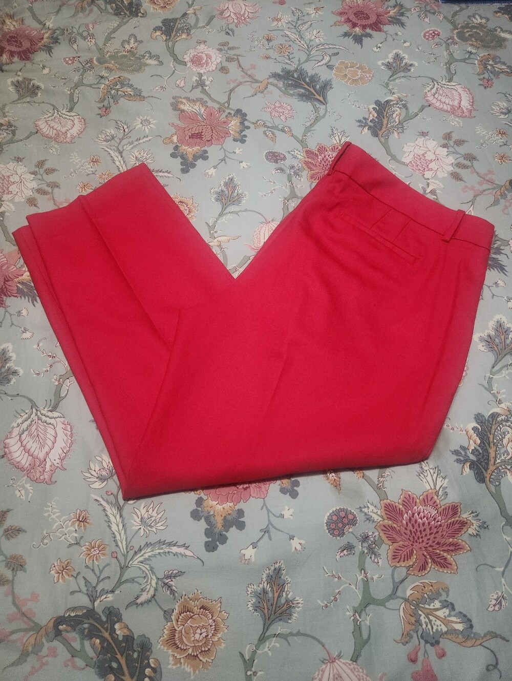 J. Crew Factory Skimmer City Fit Pants Red Size 14